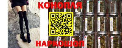 прущие грибы Аша