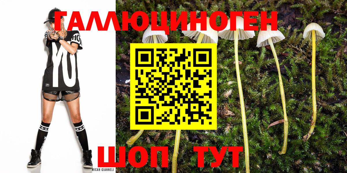 Галлюциногенные грибы ЛСД Братск