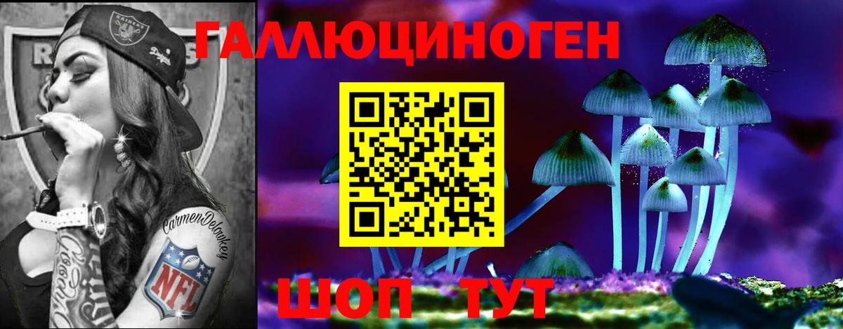 где найти   Псилоцибиновые грибы мухоморы  Вход с VPN  Галлюциногенные грибы Magic Shrooms  Братск 